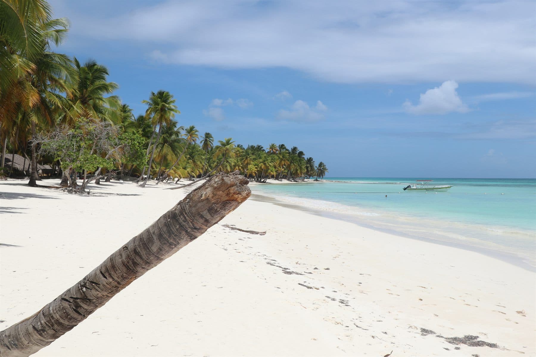 Isla Saona desde Santo Domingo